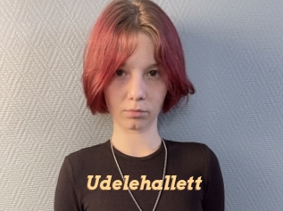 udelehallett Live Paradise