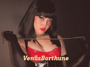 VenusBorthune
