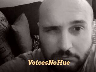 VoicesNoHue