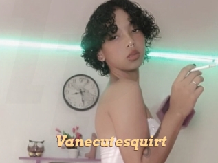Vanecutesquirt