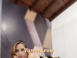 Vanesa_rose