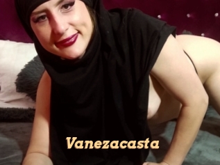 Vanezacasta
