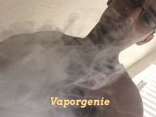 vapor_genie Live Paradise