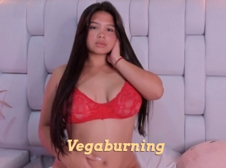 Vegaburning