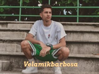 Velamikbarbosa