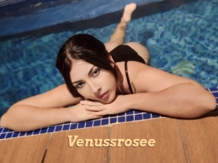 Venussrosee