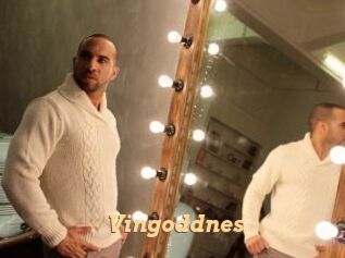 Vingoddnes