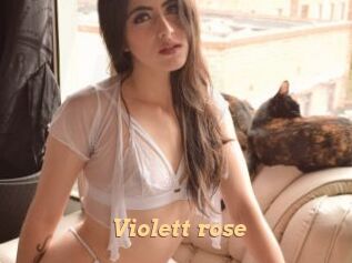 Violett_rose