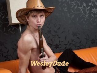WesleyDude