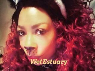 WetEstuary