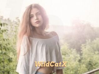 Wild_CatX