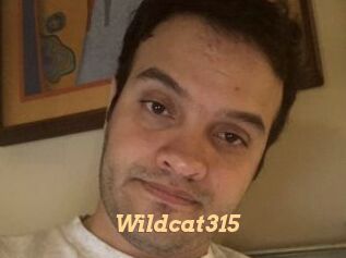 Wildcat315