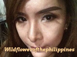 Wildflowerofthephilippines