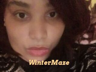 Winter_Maze