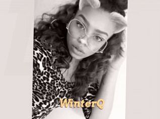 WinterQ