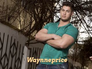 Waynneprice