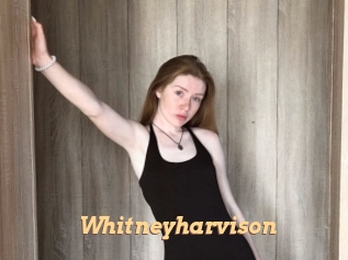 Whitneyharvison