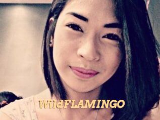 WildFLAMINGO