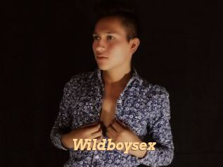 Wildboysex