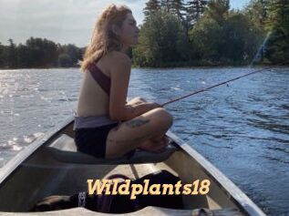 wildplants18 Live Paradise
