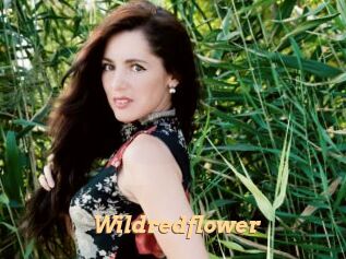 Wildredflower