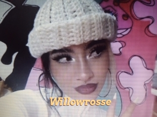 willowrosse Live Paradise