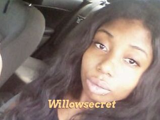 willow_secret Live Paradise