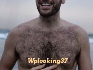 Wplooking37
