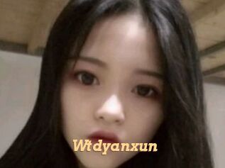 Wtdyanxun