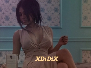 XDiDiX