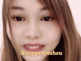 Xingganyeshou