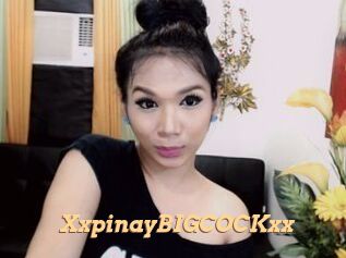 XxpinayBIGCOCKxx