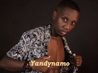 Yandynamo