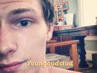 Youngbudstud