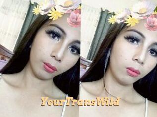 YourTransWild