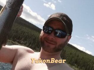 YukonBear
