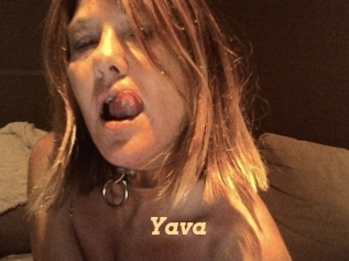 yava Live Paradise