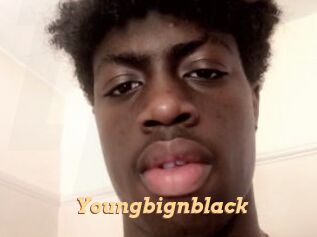Youngbignblack