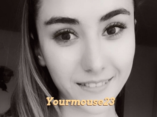 Yourmouse23