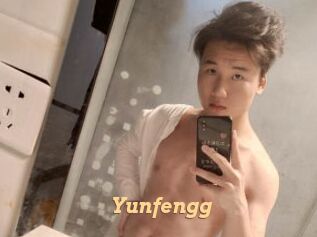 Yunfengg