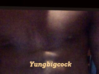 Yungbigcock