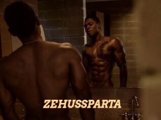 ZEHUS_SPARTA