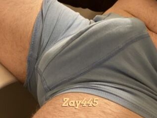 Zay445 Live Paradise