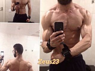 Zeus23