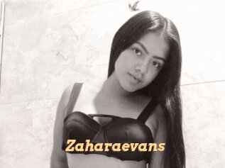zaharaevans Live Paradise