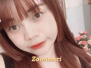 zanemori Live Paradise
