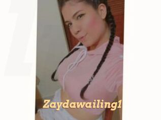 zaydawailing1 Live Paradise