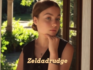 Zeldadrudge