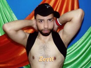 Zevit