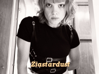 ziastardust Live Paradise